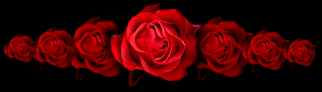 fleur